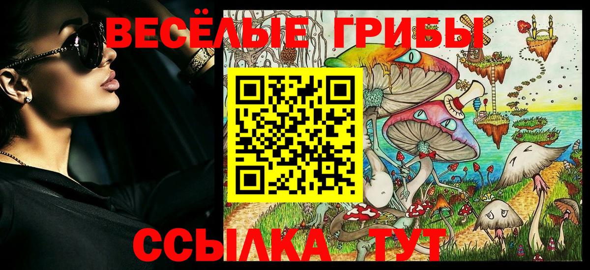 Псилоцибиновые грибы GOLDEN TEACHER Гатчина