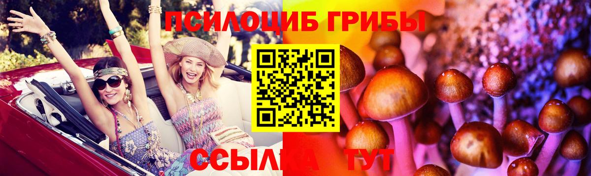 Гатчина  Галлюциногенные грибы Psilocybine cubensis  Вход с VPN  Галлюциногенные грибы мухоморы 