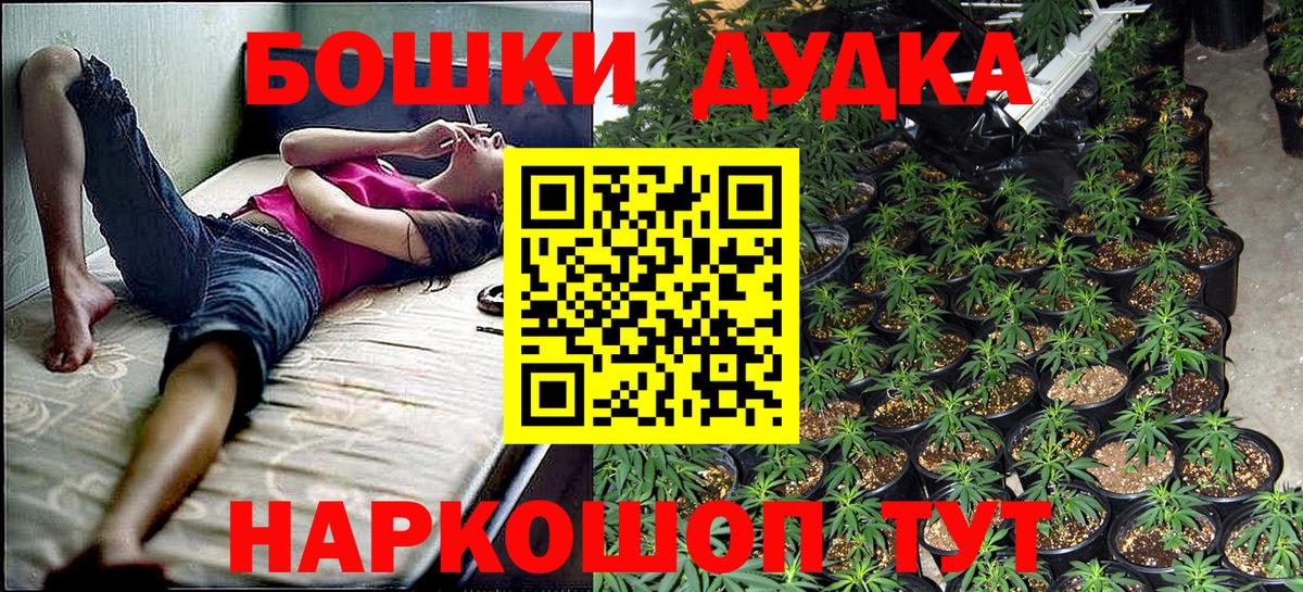 Гатчина  Бошки Шишки SATIVA & INDICA  Вход с VPN  Каннабис Amnesia 